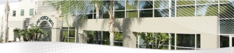Life Force Business Opportunity