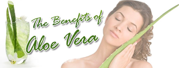 benefits-of-aloe-vera the benefits of aloe vera body balance