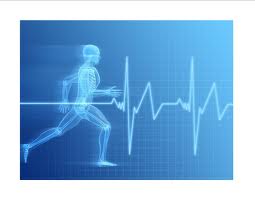 Essential Nutrients Best Nutrients For Health