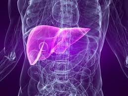 Causes of Liver Cancer