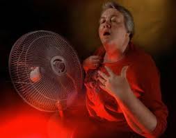 Natural cures for menopause