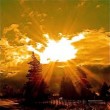 Best Source of Vitamin D3
