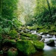 Costa Rica Pictures