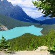 Network Marketing Success