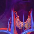 Best Iodine for Thyroid